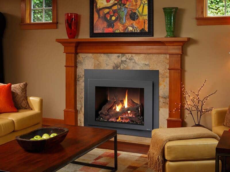 616 GSR Gas Fireplace Insert